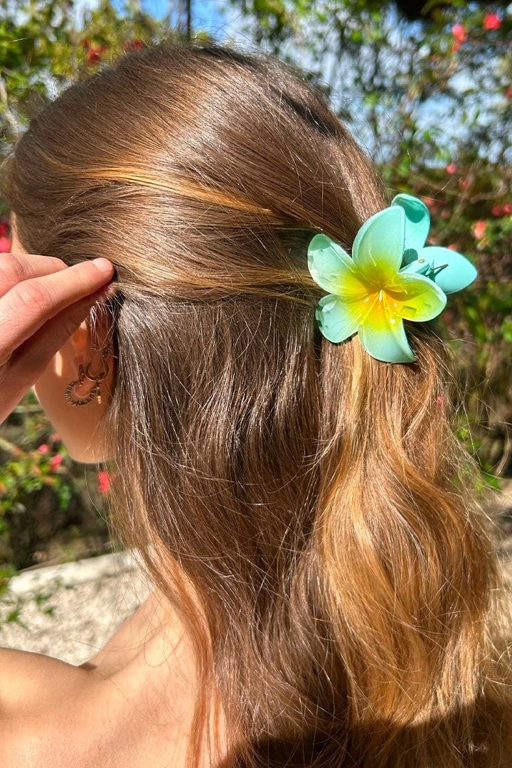 کلیپس پلومریا سیران